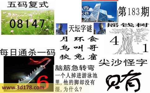 3d第2014183期香港彩报：月环食，鸟叫哥