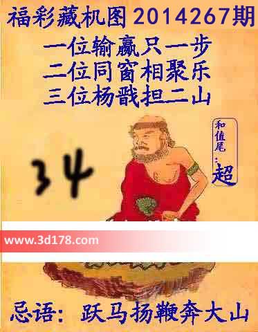 3d第2014267期正版藏机图：跃马扬鞭奔大山