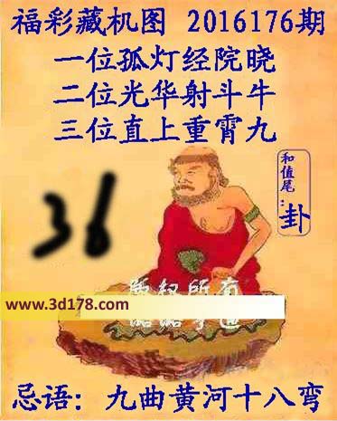 3d第2016176期正版藏机图和值尾：卦