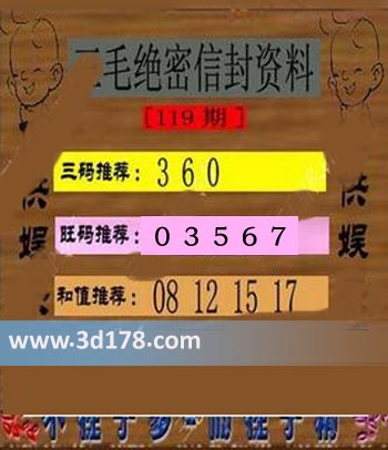3d第2017119期三毛绝密信封资料三码推荐：036