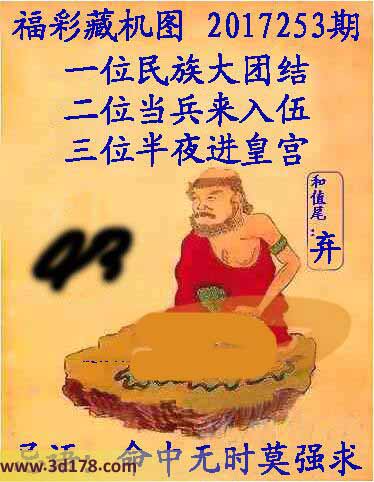 正版藏机图3d第2017253期一位：民族大团结