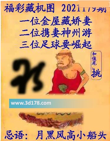 正版藏机图3d第2021179期推荐：二位携妻神州游