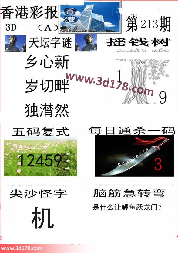 香港彩报3d第2022213期推荐每日通杀一码：3