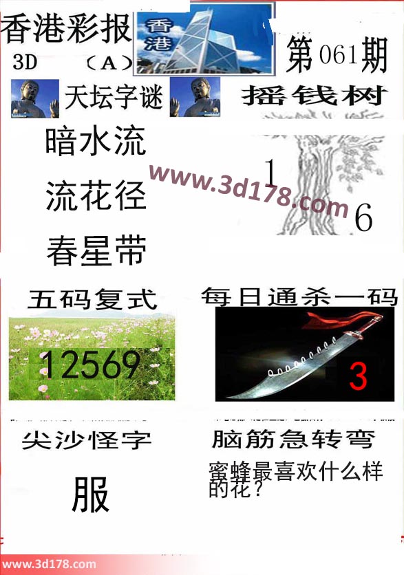 香港彩报3d第2024061期推荐摇钱树：1 6